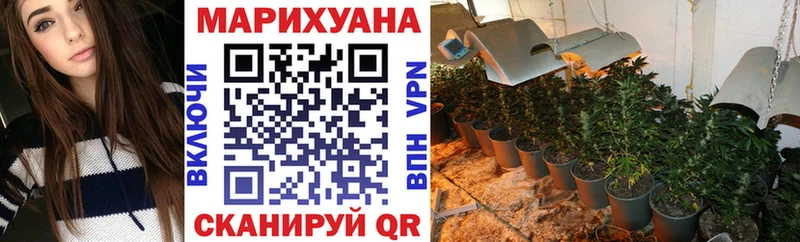 Канабис сатива Задонск